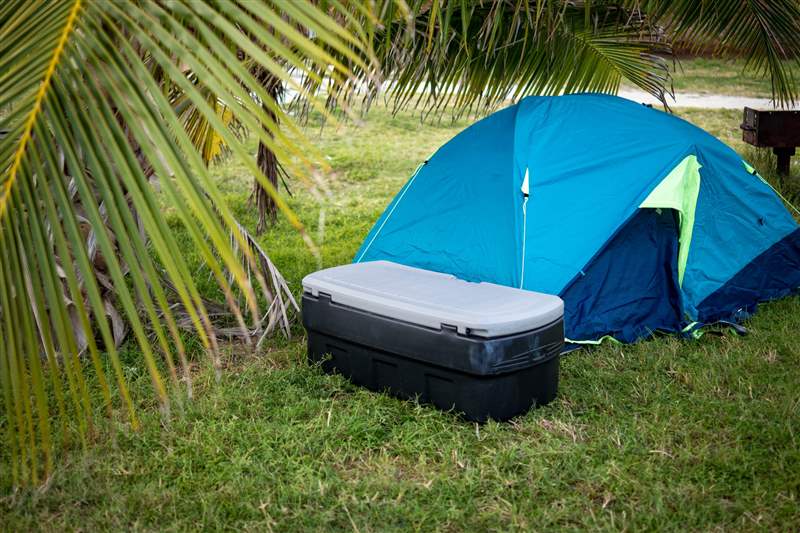 你只活一次的假期：我?guī)е鴲郾吮砣チ艘粋€(gè)荒島-復(fù)刻表