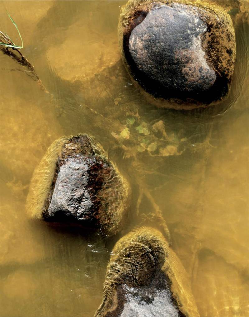 深礦是危險的地方,致命事故是生活中的事實。-復(fù)刻表