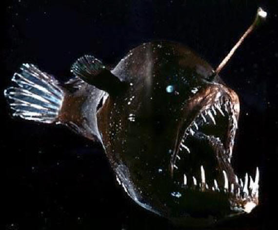 angler fish U艇表(U-Boat)U1001限量版手表-復(fù)刻表